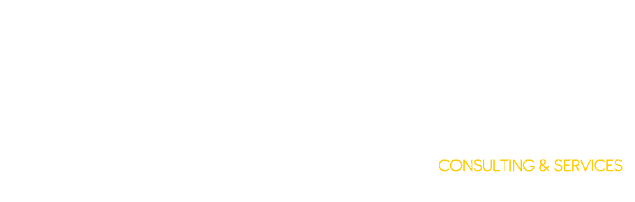 Dyne Consulting & Services